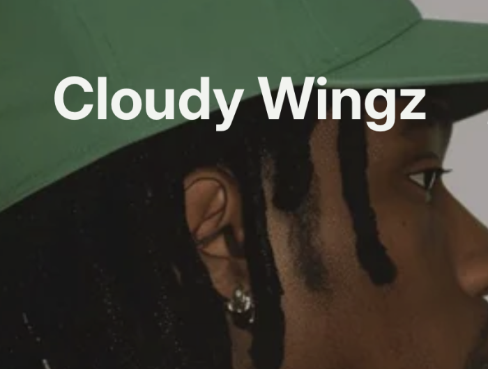 Cloudywingz
