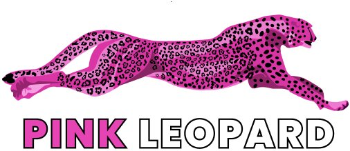 Pinkleopardunderwear