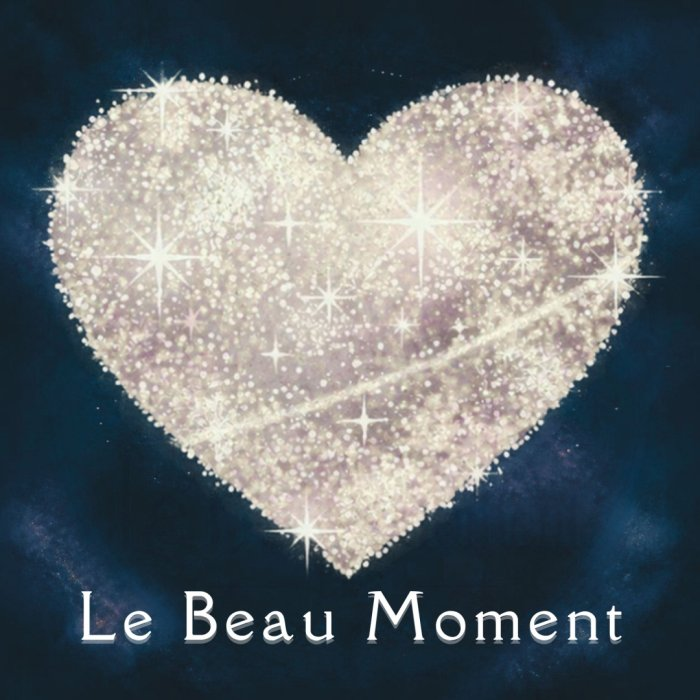 Le Beau Moment LLC